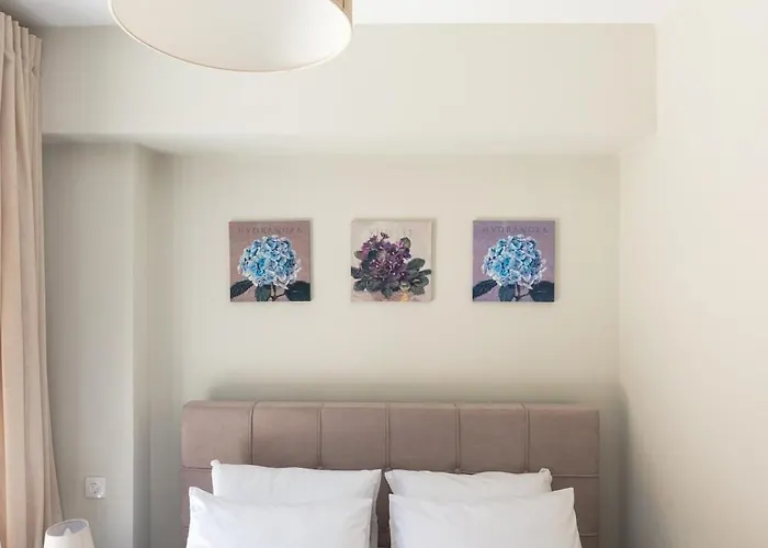 Elfisuites 니키아나